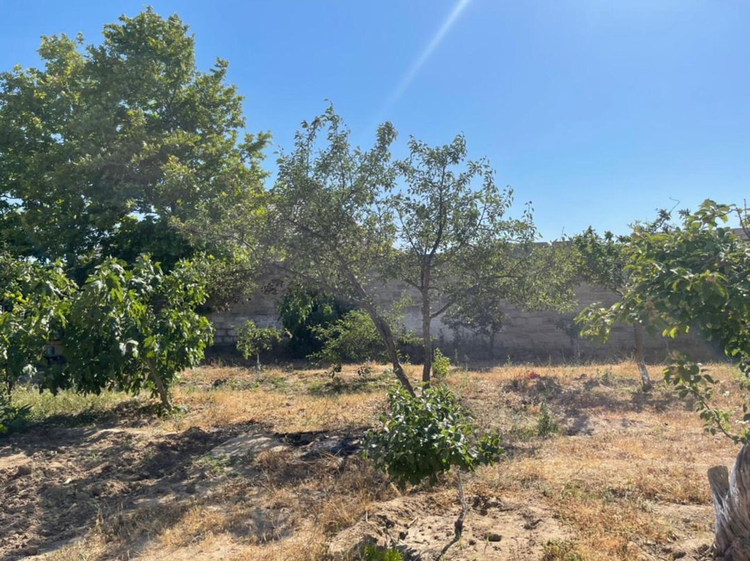 Satılır torpaq 14 sot — Torpaq, Bakı (2)