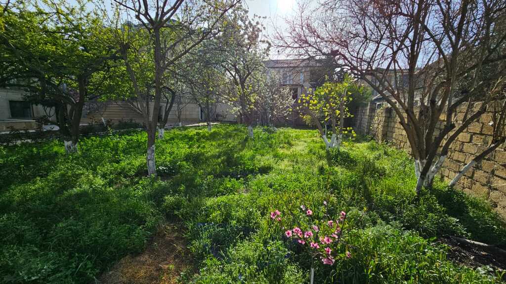 Satılır torpaq 8 sot — Torpaq, Bakı (3)