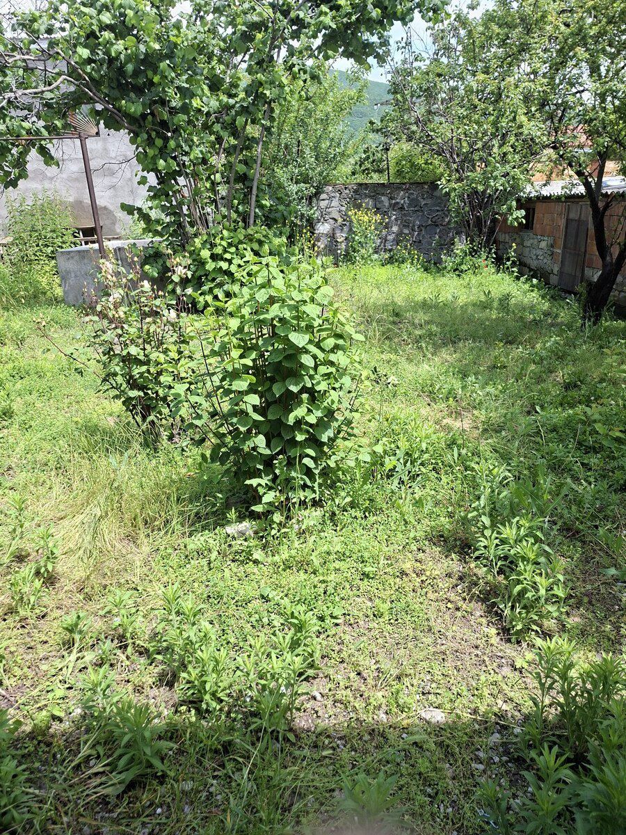 Həyət evi, Şəki r — Ev, villa, Şəki (4)