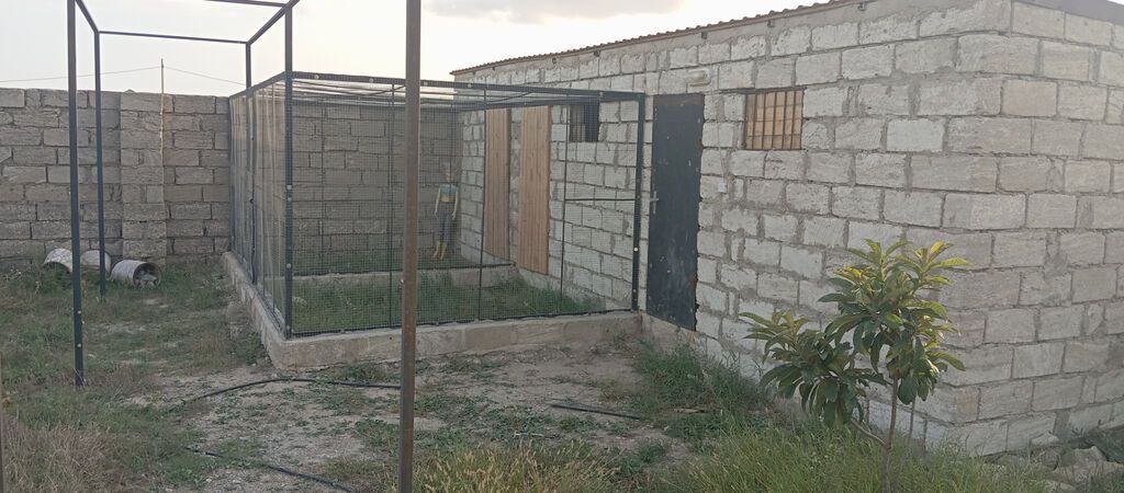 10 sot, Tikinti, Mülkiyyətçi, Kupça (Çıxarış) — Torpaq, Bakı (5)