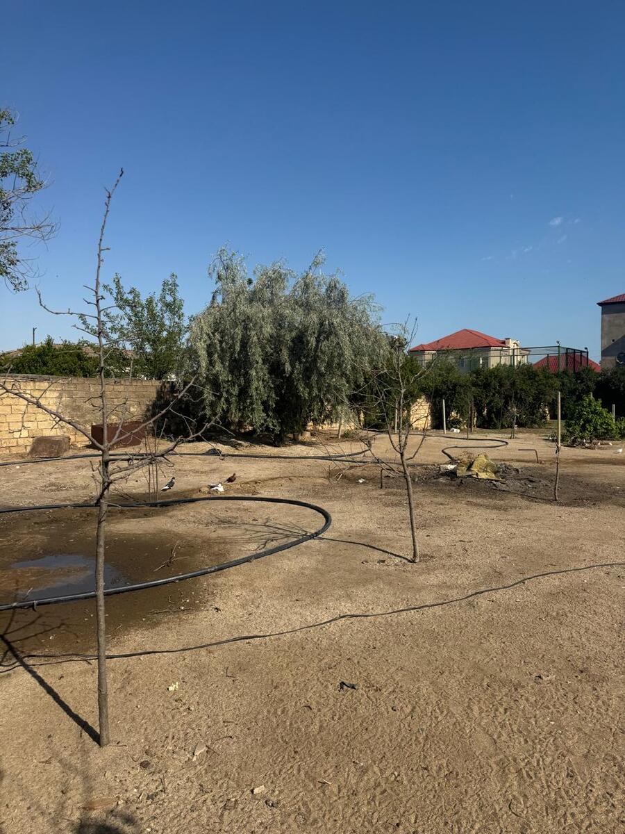 Satılır torpaq 30 sot — Torpaq, Bakı (12)