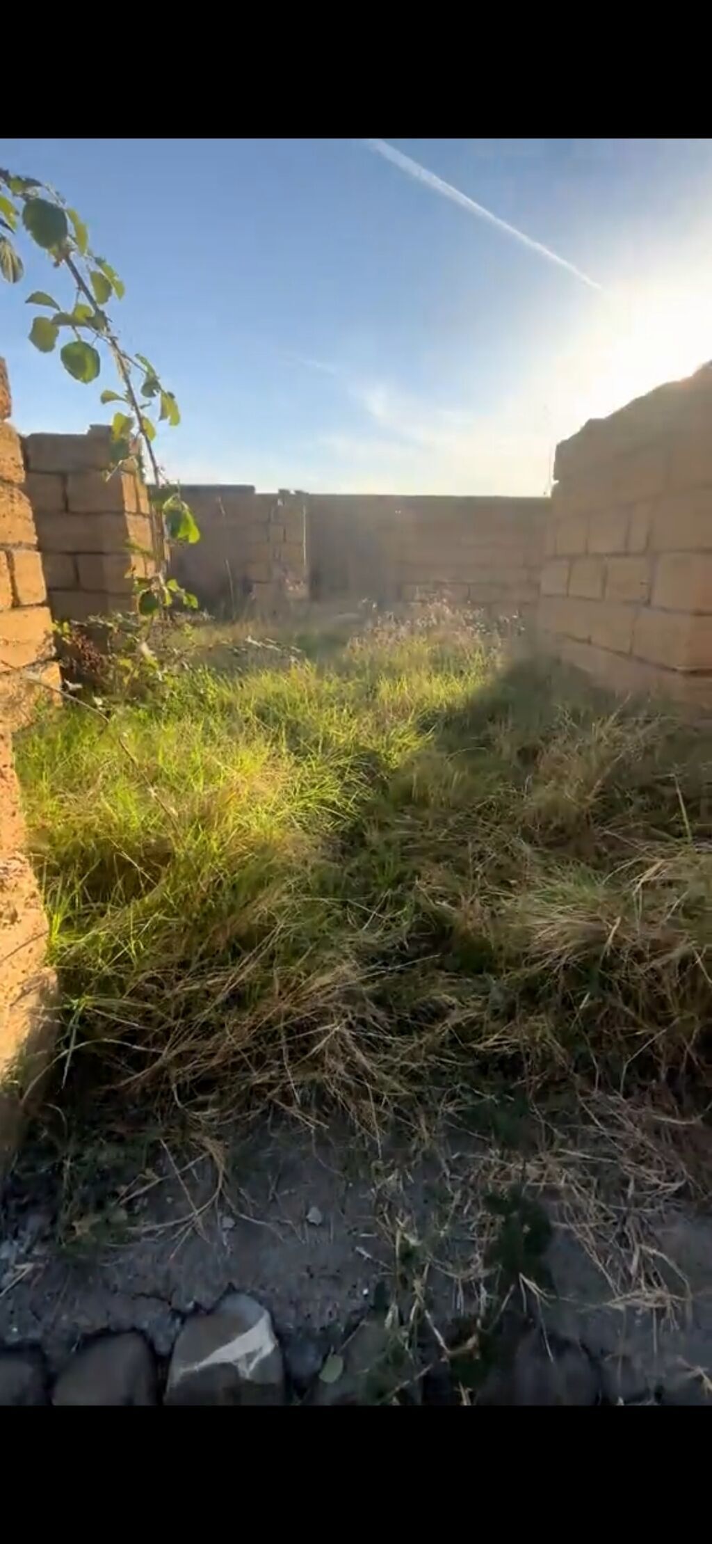 6 sot, Tikinti, Mülkiyyətçi, Kupça (Çıxarış) — Torpaq, Qəbələ (4)