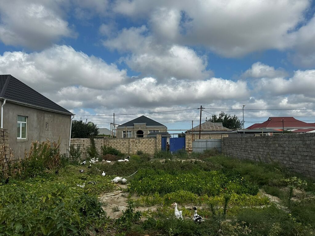 3 sot, Tikinti, Mülkiyyətçi, Kupça (Çıxarış) — Torpaq, Digah (5)