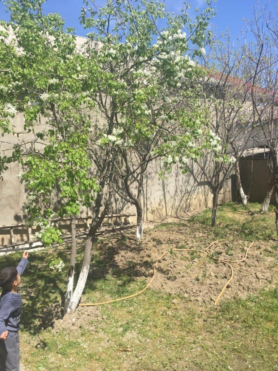 Satılır 6 otaqlı həyət evi/bağ evi 220 m² — Ev, villa, Bakı (5)