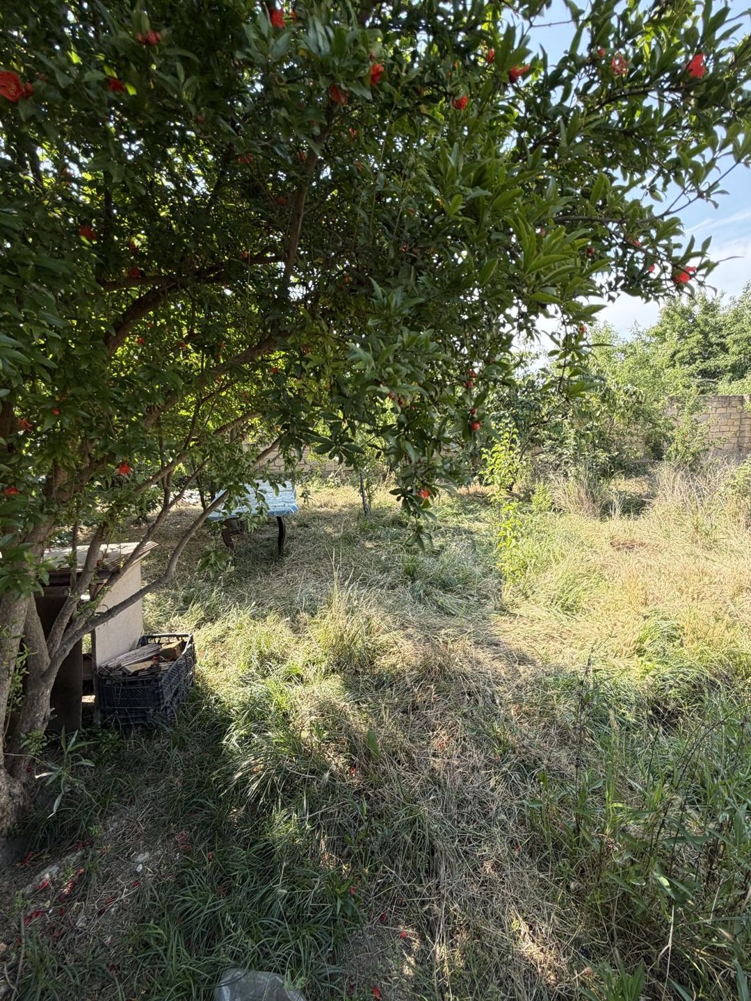 Satılır torpaq 7 sot — Torpaq, Bakı (5)