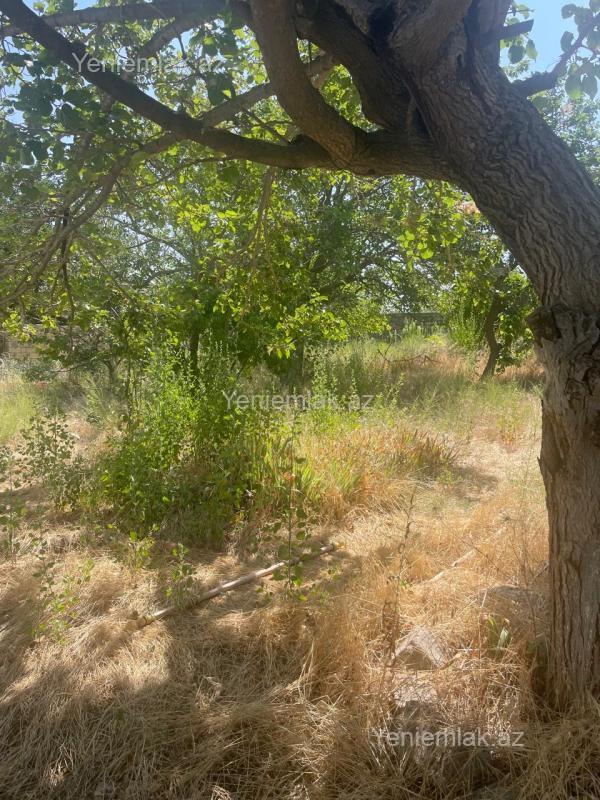 For sale: land, 15 sot — Torpaq, Abşeron (7)