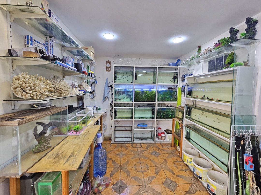 İcarəyə verilir obyekt 65 m² — Əmlak, Bakı (2)