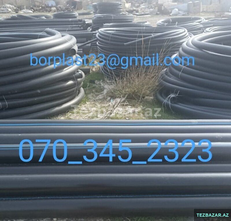 Su boruları — Bitkilər, Bakı (2)