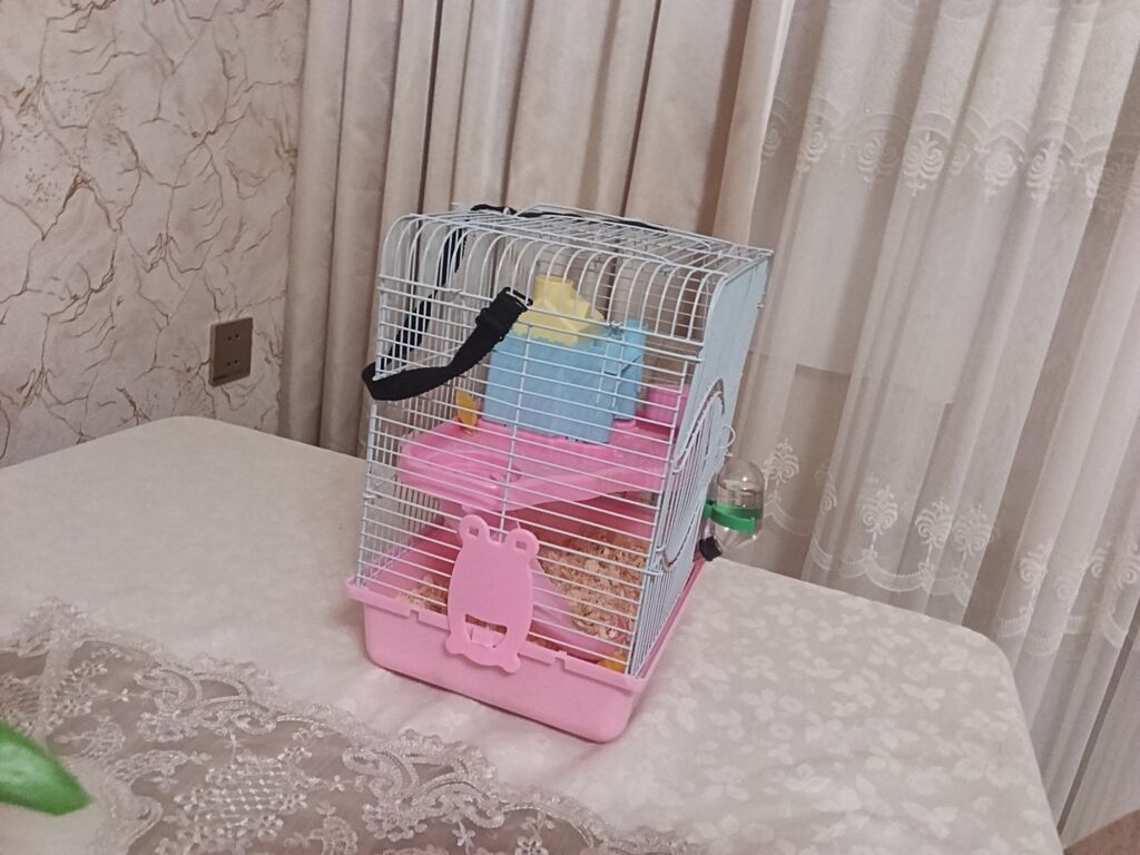 Siçan/hamster ile 2 mərtəbəli qəfəs dəsti 'qızdı hamilə yemək və — Qəfəslər, Xırdalan (3)