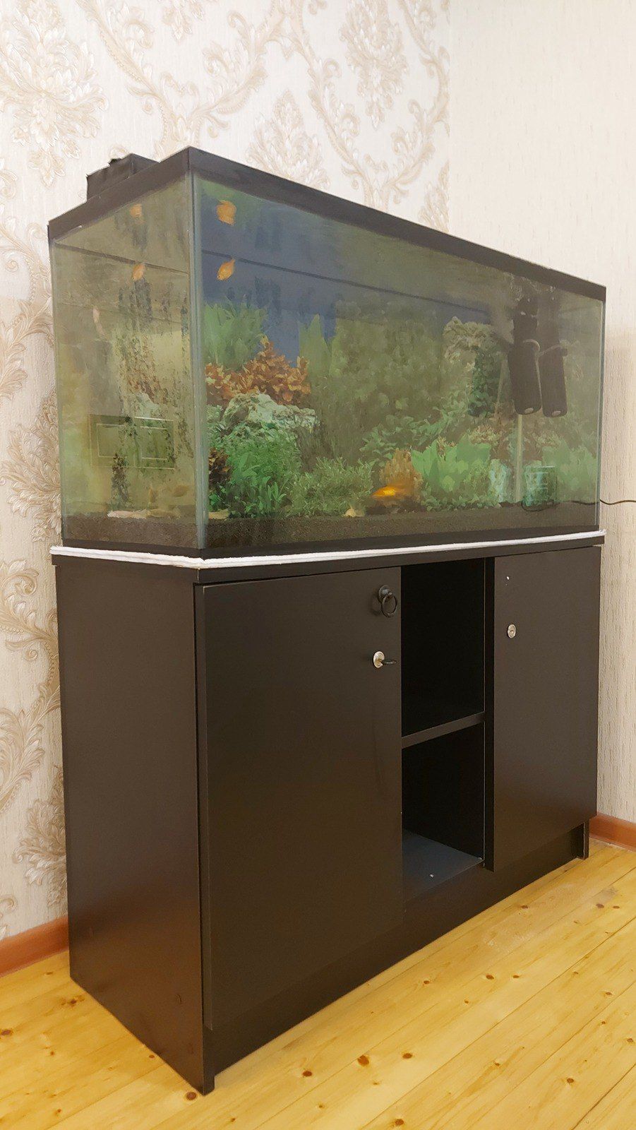 Akvarium — Akvariumlar və balıqlar, Bakı (3)