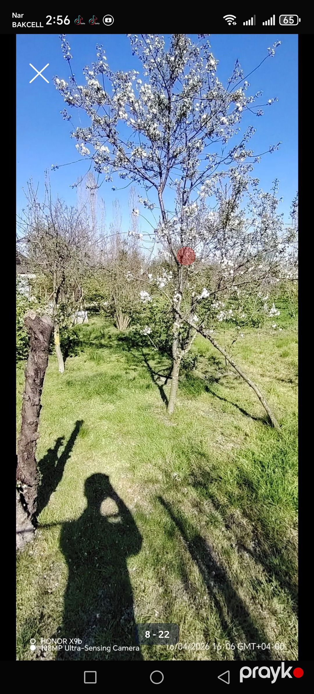 Satılır — Ev, villa, Xaçmaz (8)