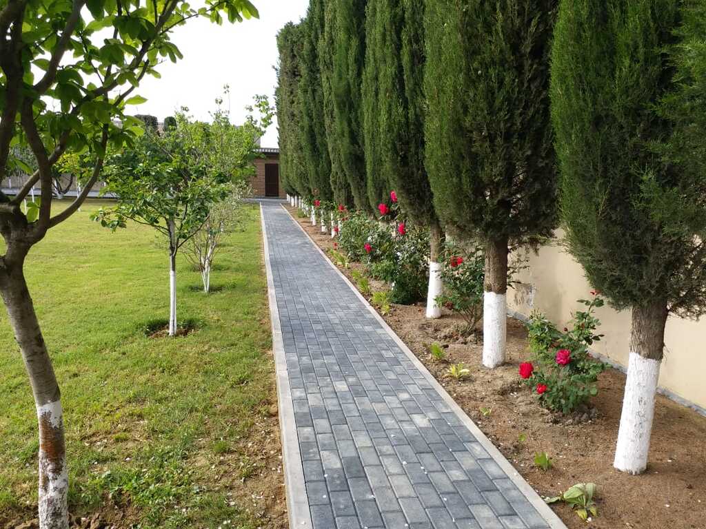 İcarəyə verilir 3 otaqlı həyət evi/bağ evi 150 m² — Ev, villa, Bakı (2)
