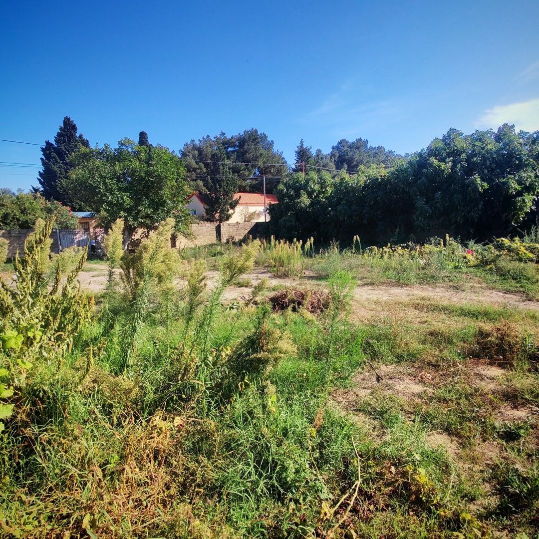 Satılır torpaq 6 sot — Torpaq, Bakı (7)