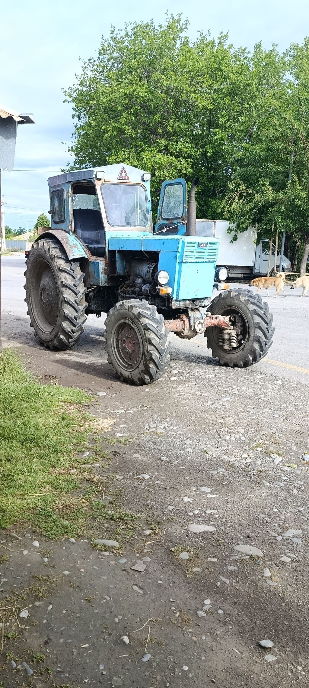 Əvvəlcə Salam olsun hərkəsə. Traktor tam ideal vəziyyətdədir sənət — Traktorlar, Şəki (7)