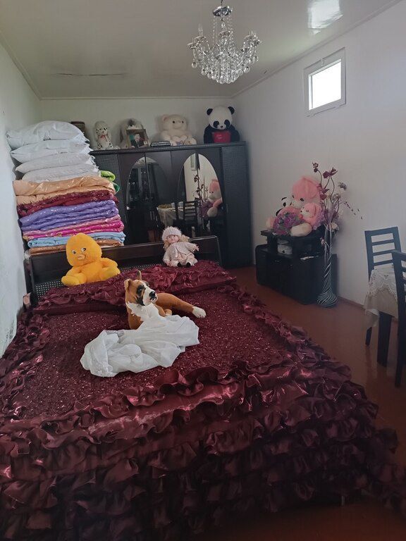 Həyət evi, Şəki ş — Ev, villa, Şəki (10)