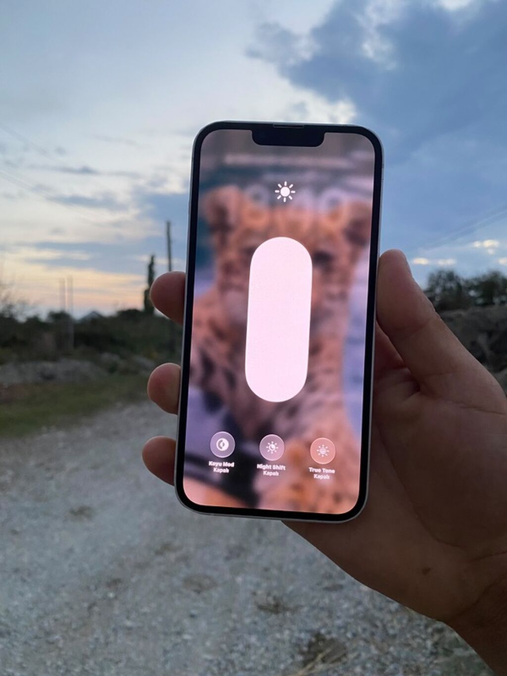 IPhone 13, Ağ, Face ID — Apple iPhone, Xaçmaz (3)