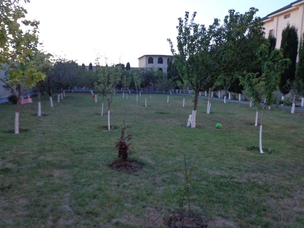 İcarəyə verilir 3 otaqlı həyət evi/bağ evi 150 m² — Ev, villa, Bakı (4)