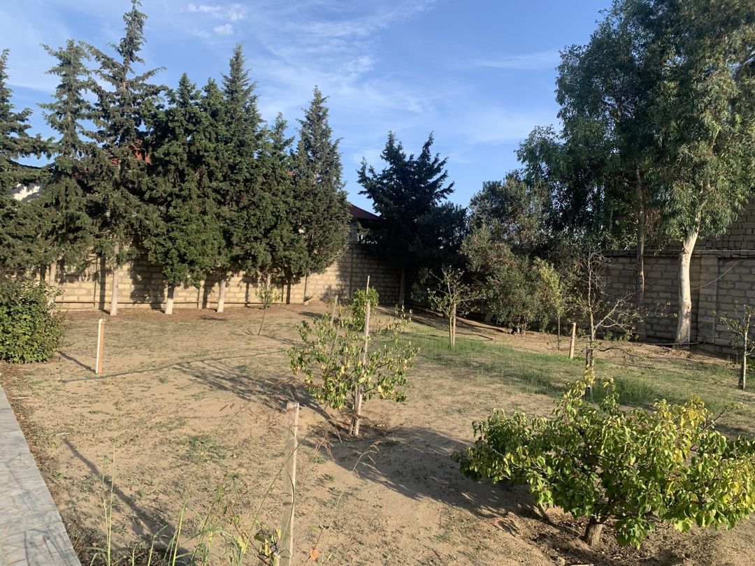 Satılır torpaq 8 sot — Torpaq, Bakı (2)