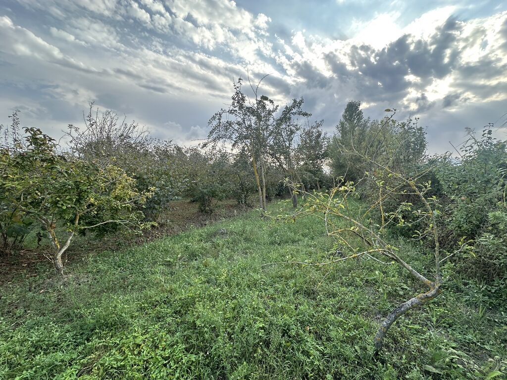 32 sot, Kənd təsərrüfatı, Mülkiyyətçi, Kupça (Çıxarış) — Torpaq, Xaçmaz (8)