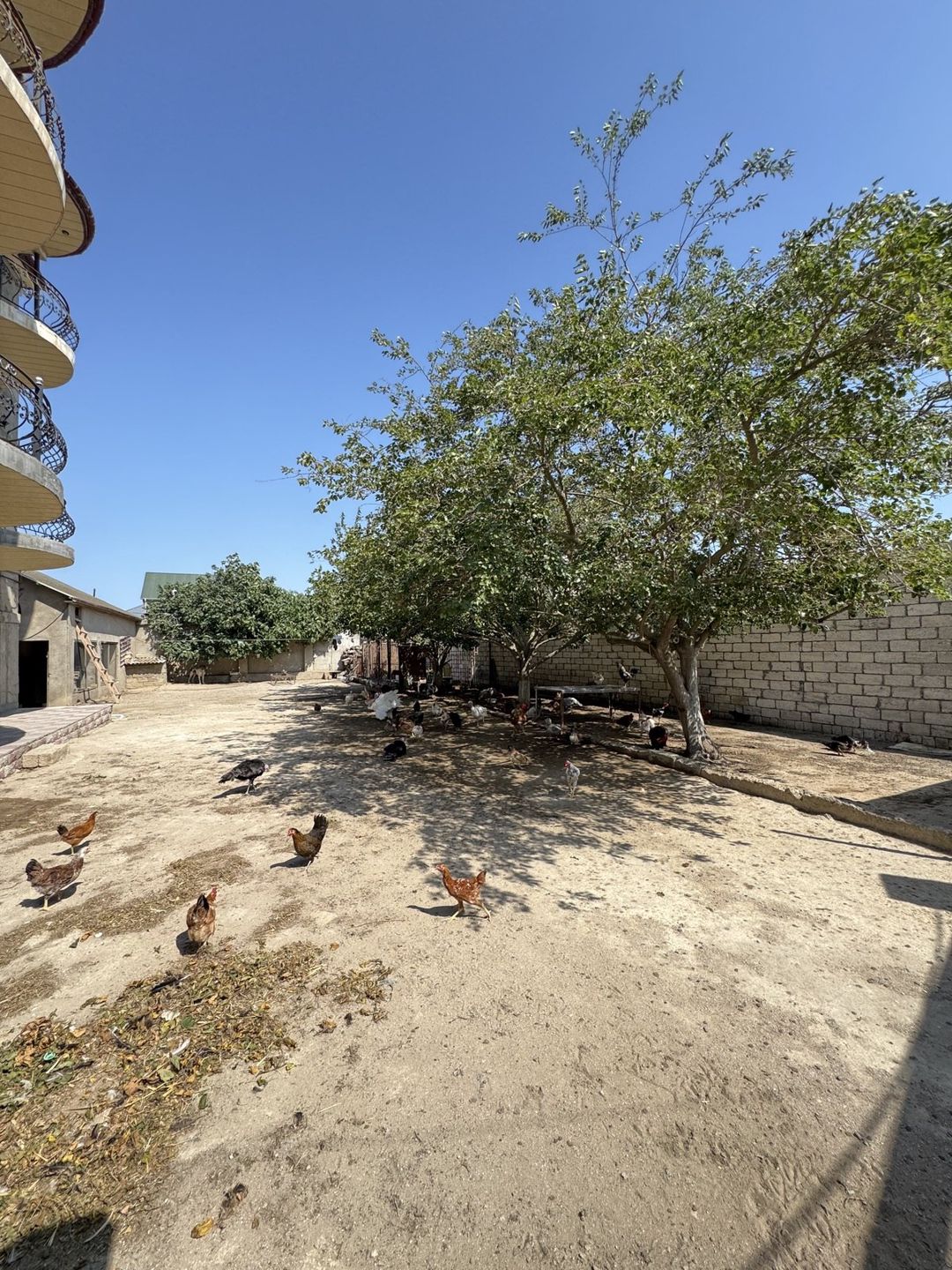 Satılır 8 otaqlı həyət evi/bağ evi 250 m² — Ev, villa, Bakı (3)
