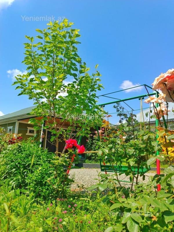 Günlük 4 otaqlı Həyət evi / Villa, 160 m², İsmayıllı — Ev, villa, İsmayıllı (3)