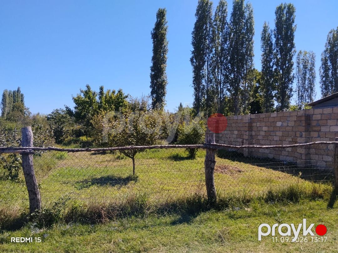 Satilir — Torpaq, Xaçmaz (2)