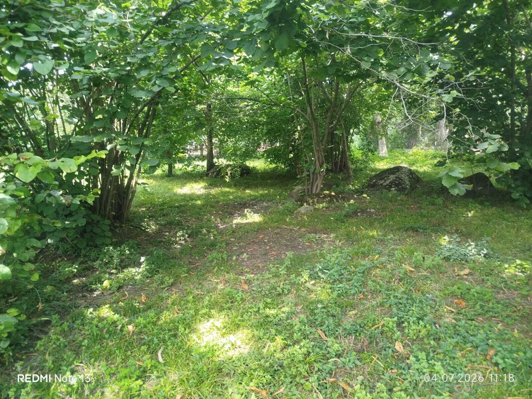Satılır torpaq 14 sot — Torpaq, Qəbələ (6)