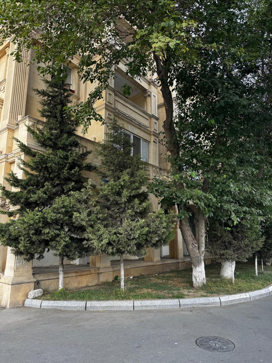 İcarəyə verilir 2 otaqlı köhnə tikili 70 m² — Mənzil, Bakı (10)