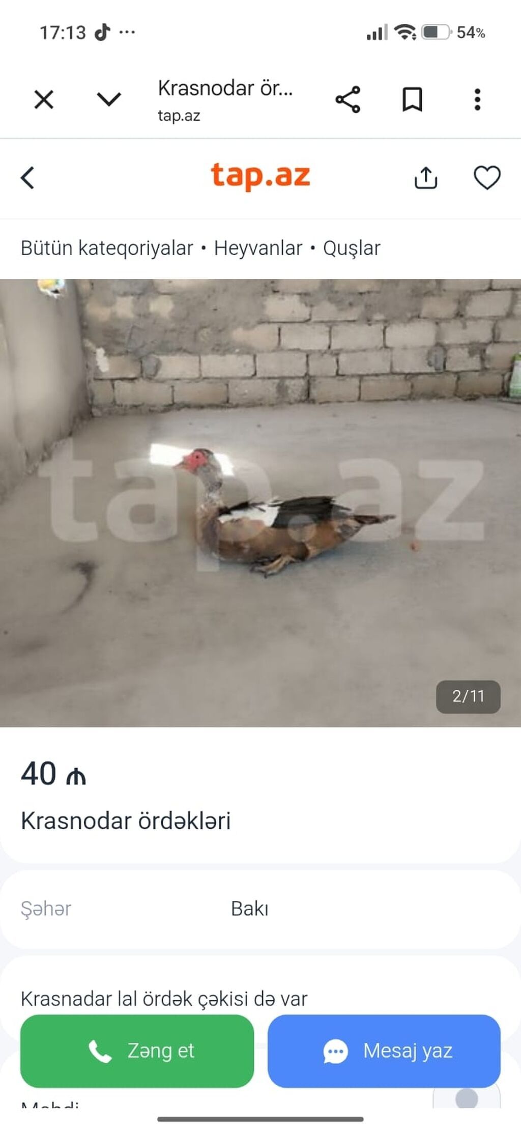 Məhsul: Krasnodar lal ördəkləri (muskovy) - Rəng: qəhvəyi-qara ağ — Digərləri, Digah (3)