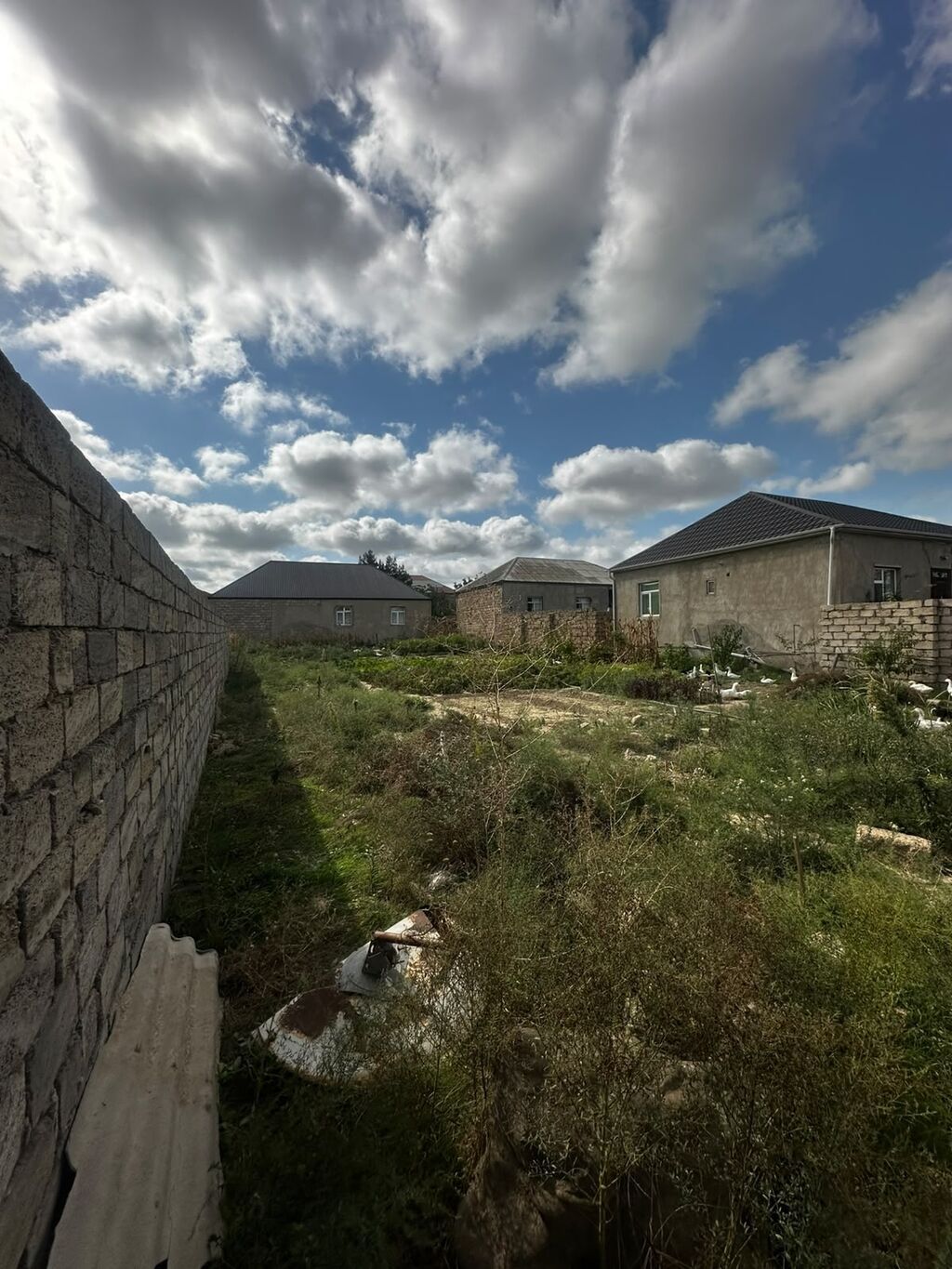 3 sot, Tikinti, Mülkiyyətçi, Kupça (Çıxarış) — Torpaq, Digah (3)
