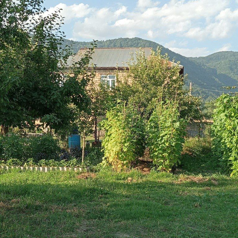 Satılır torpaq 100 sot — Torpaq, Qəbələ (5)