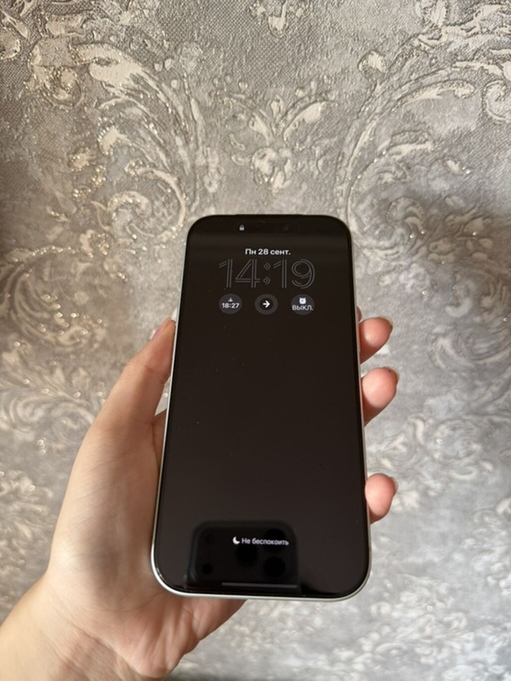 IPhone 17 Pro, 256 GB, Gümüşü, Face ID — Apple iPhone, Bakı