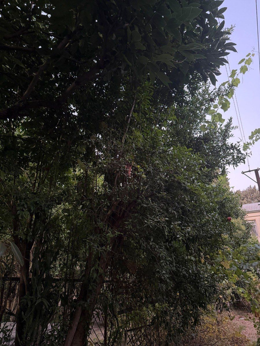 Satılır 5 otaqlı köhnə tikili 90 m² — Mənzil, Bakı (7)
