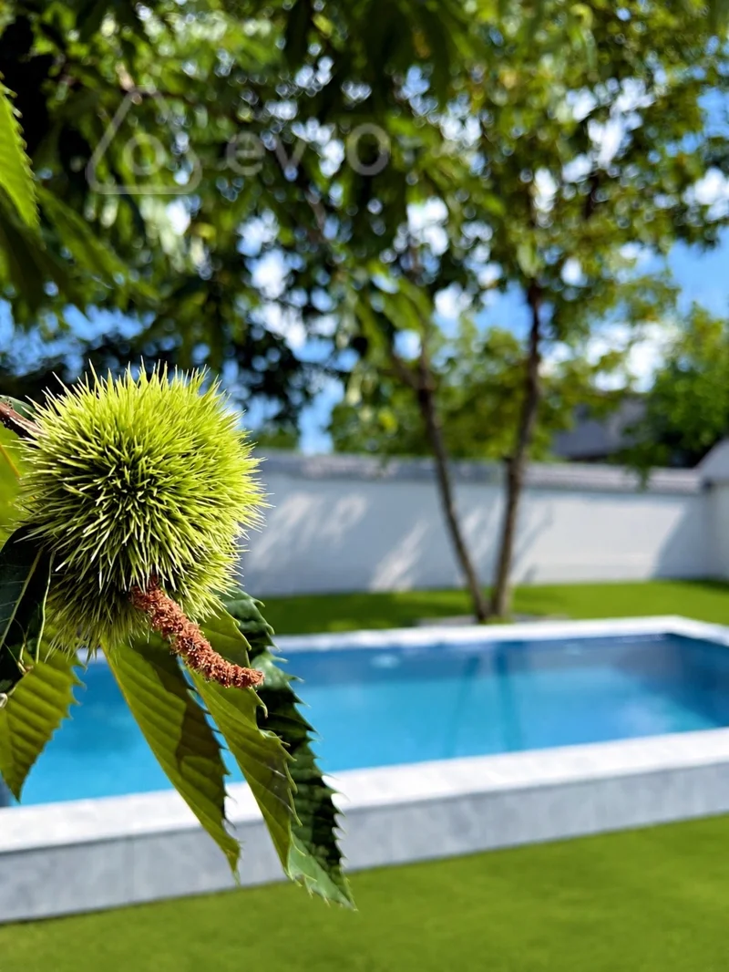 4 otaqlı həyət evi, 120 m², Vahid Qehramanov ev38, Qəbələ — kirayə — Ev, villa, Qəbələ (4)