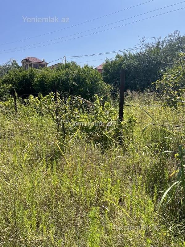 For sale: land, 19 sot — Torpaq, Abşeron (4)