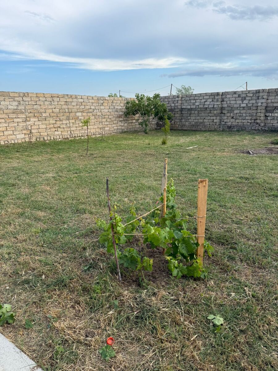 İcarəyə verilir 2 otaqlı həyət evi/bağ evi 60 m² — Ev, villa, Bakı (11)