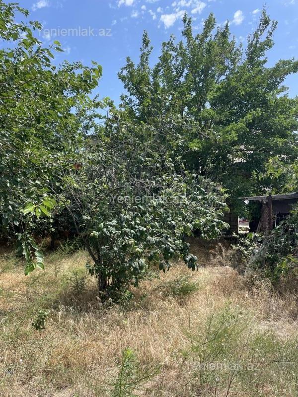Satılır 4 otaqlı Həyət evi / Villa, 100 m², Qurd dərəsi — Ev, villa, Sumqayıt (8)