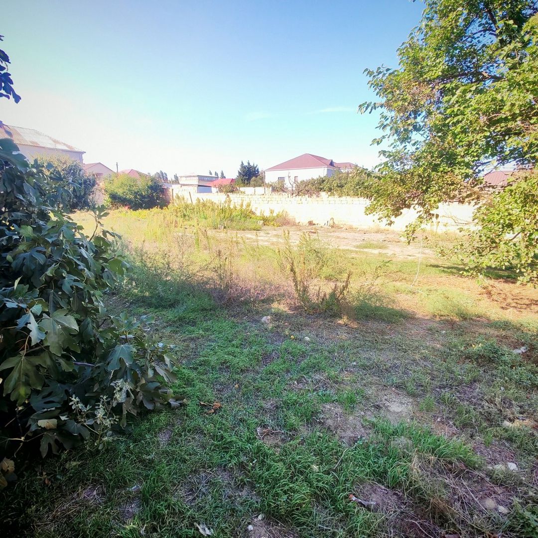 Satılır torpaq 6 sot — Torpaq, Bakı (6)