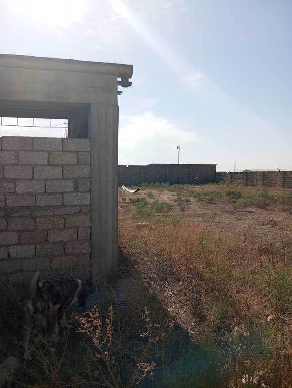 Satılır torpaq 50 sot — Torpaq, Bakı (7)