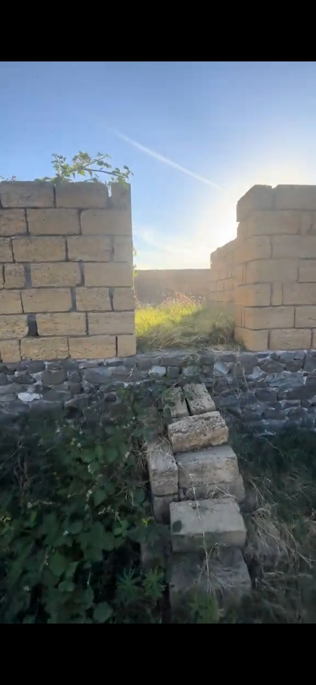 6 sot, Tikinti, Mülkiyyətçi, Kupça (Çıxarış) — Torpaq, Qəbələ (3)