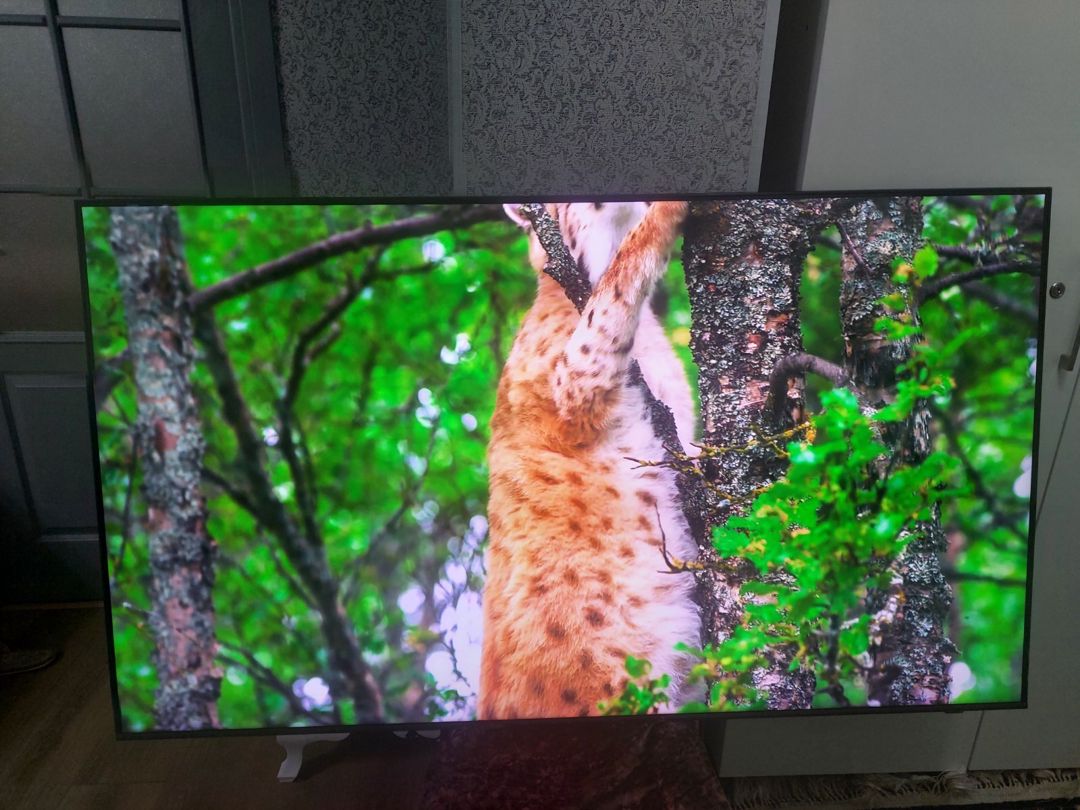 Televizor Samsunq QE65Q70D — TV və Video, Bakı (7)