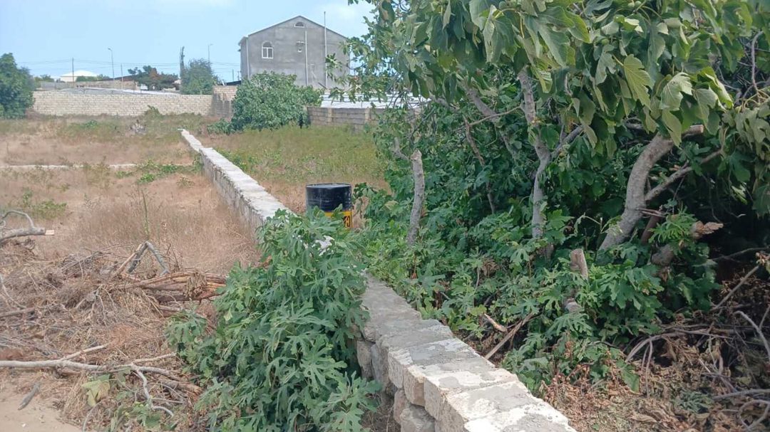 Satılır torpaq 10 sot — Torpaq, Bakı (5)