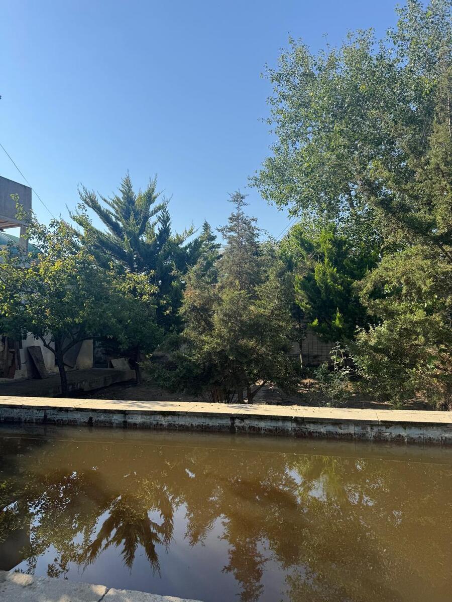 Satılır torpaq 30 sot — Torpaq, Bakı (4)