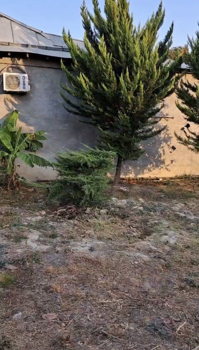 Satılır torpaq 6 sot — Torpaq, Şəki (9)