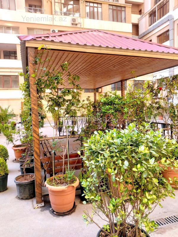 Kirayə 3 otaqlı Bina evi menzil (Yeni tikili), 95.5 m², Yasamal rayonu — Mənzil, Bakı (12)
