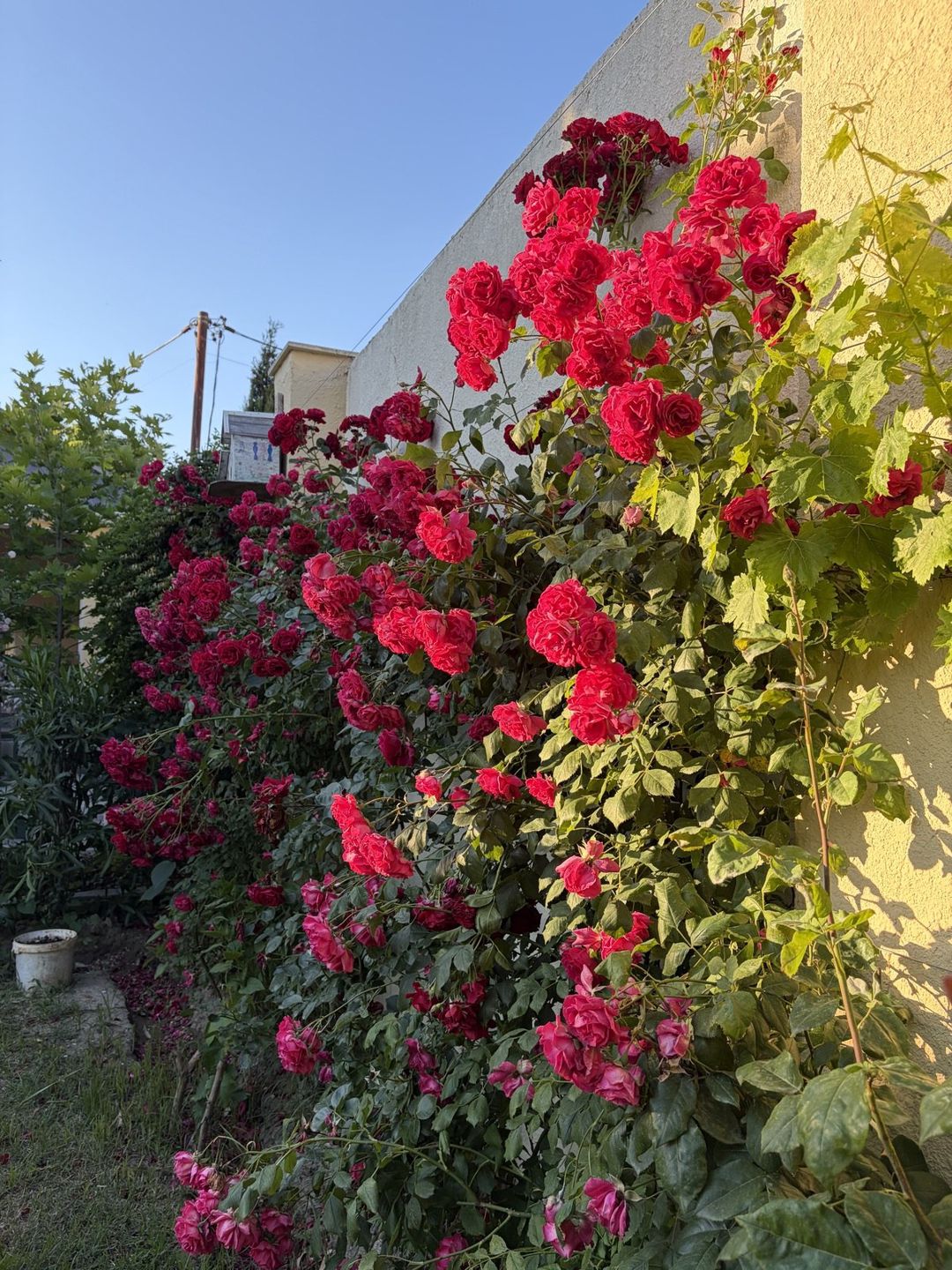 Satılır 5 otaqlı həyət evi/bağ evi 180 m² — Ev, villa, Bakı (5)