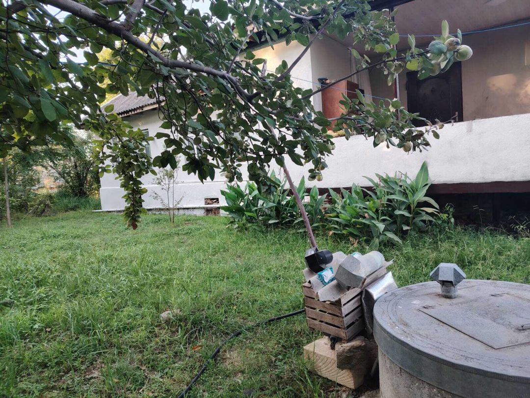 Satılır 4 otaqlı həyət evi/bağ evi 100 m² — Ev, villa, Lənkəran (3)