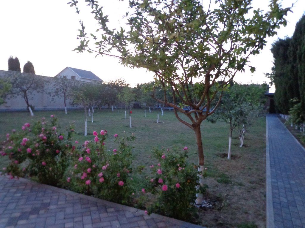 İcarəyə verilir 3 otaqlı həyət evi/bağ evi 150 m² — Ev, villa, Bakı (3)