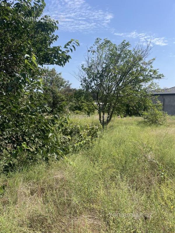Satılır Torpaq sahəsi, 19 sot, Novxanı — Torpaq, Abşeron (3)