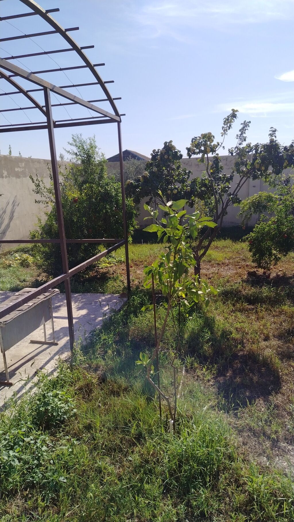 Satılır: Məştağada bağ evi və torpaq sahəsi satılır -10 sot torpaq və — Ev, villa, Bakı (4)